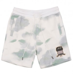 Avirex Icon Short Pantaloncini Uomo Colorate | TPUIYRO-43