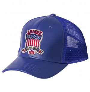 Avirex Icon Trucker Hat Cappelli Uomo Colorate | XAZPDCR-89