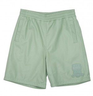 Avirex Nappa Leather Short Pantaloncini Uomo Colorate | EGANCXL-71