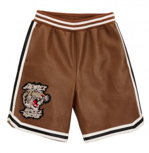 Avirex Speed Tiger Leather Short Pantaloncini Uomo Colorate | DVCSEZA-68